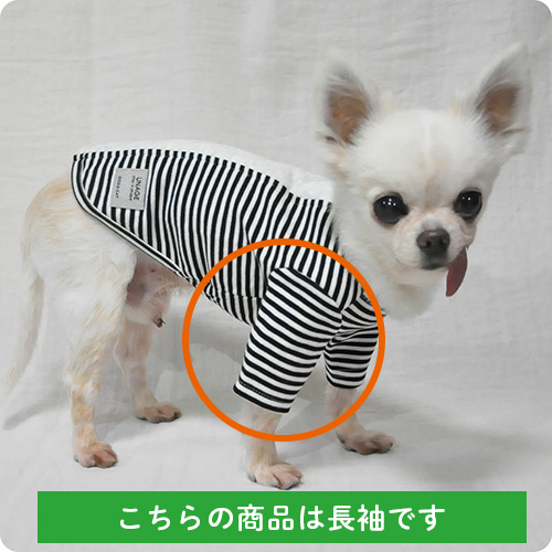 IDOG＆ICAT UNAGE（アンエイジ） ウェルネスウェア 背中開きT