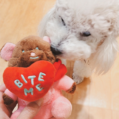 バイトミー　ラブベアノーズワークおもちゃ【数量限定】