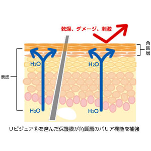 BASICS　ベッツ ダーマケアスプレー