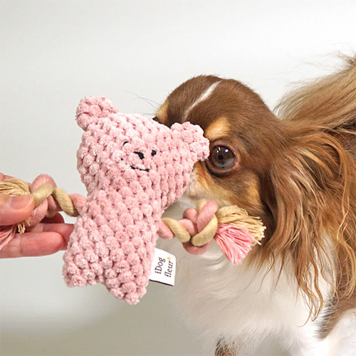 iDog ひっぱりくまさん fleur 鳴き笛入り【数量限定】