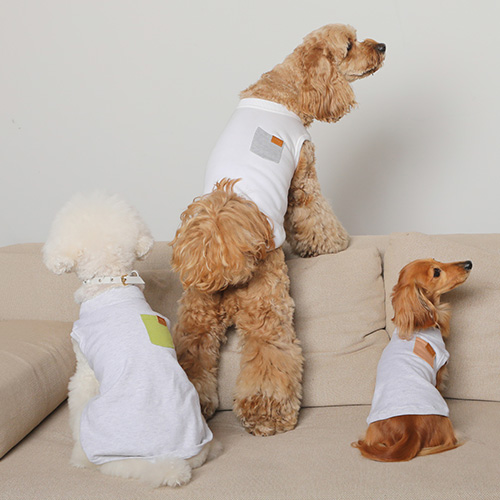 bicolor cotton knit for DOG【数量限定】