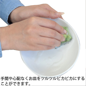 わんにゃん食器の洗剤