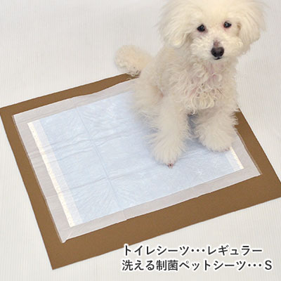 【子犬特集専用】洗える制菌ペットシーツ　プレミア2