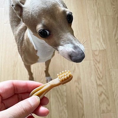 ウィムズィーズ　ハブラシ