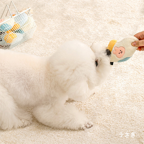 バイトミー　くつ下ロープタグおもちゃ【数量限定】