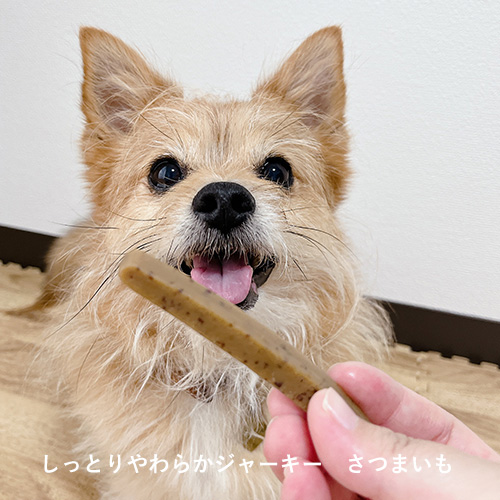 Happy Wan Bag ［5000］2026【数量限定】