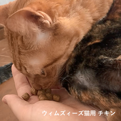 Happy Nyan Bag チキン 2026［3000］【数量限定】