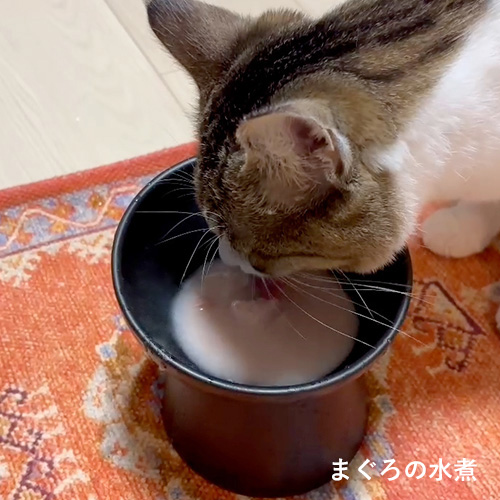 Happy Nyan Bag フィッシュ2026［3000］【数量限定】