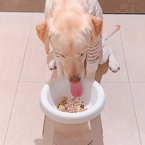 鹿肉のかぼちゃポタージュ