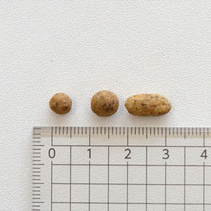 ドットわん魚ごはん　お得な3パックセット（フードサンプル付き）