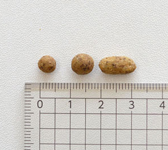 ドットわんごはん　4種お試しセット（ギフトボックス入り）【数量限定】