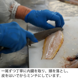 ドットわん魚ごはん