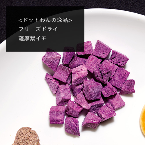 ドットわん　ハロウィンギフトボックス　カボチャ＆紫イモ＋【数量限定】