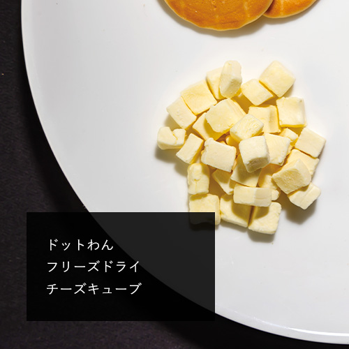 ドットわん　ハロウィンギフトボックス　たまご＆チーズ＋【数量限定】