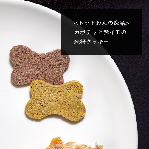 ドットわん　ハロウィンギフトボックス　たまご＆チーズ＋【数量限定】