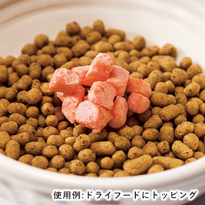 ドットわんの逸品　フリーズドライ完熟スイカ【数量限定】