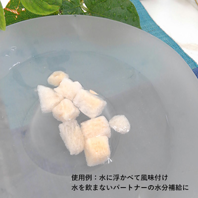 ドットわんの逸品　フリーズドライ完熟スイカ【数量限定】