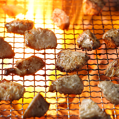 ドットわん　炎の炭火焼き九州若鶏