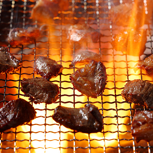 ドットわん　炎の炭火焼き国産牛