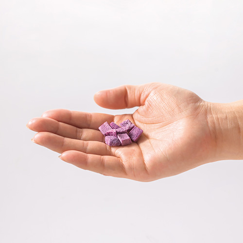 わんこ Truelove 犬 靴 犬靴 ドッグシューズ メッシュ シューズ ソフト