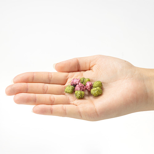 ドットわんの逸品 緑茶とブルーベリーあられ【数量限定】