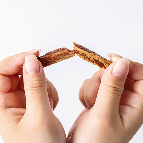 ドットわんの逸品　焼津カツオかみかみスティック【数量限定】