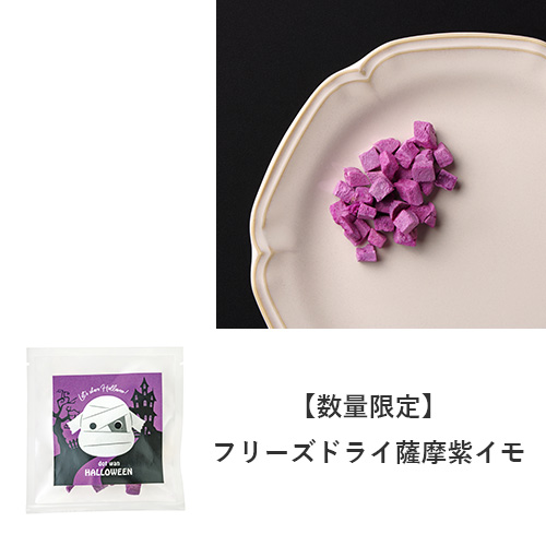 ドットわんハロウィン2026 アソートセット【数量限定】