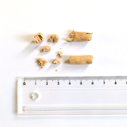 フィーライン ナチュラル フリーズドライ　チキン＆キングサーモン・フィースト