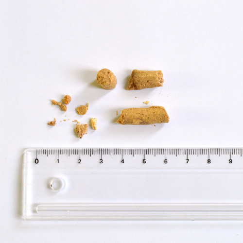 フィーライン ナチュラル フリーズドライ　ラム＆ベニソン・フィースト