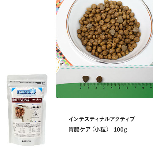 フォルツァ10　冬の「おなかケア」特別ご提案セット【数量限定】