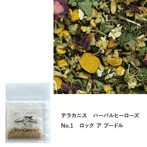 フォルツァ10　冬の「おなかケア」特別ご提案セット【数量限定】