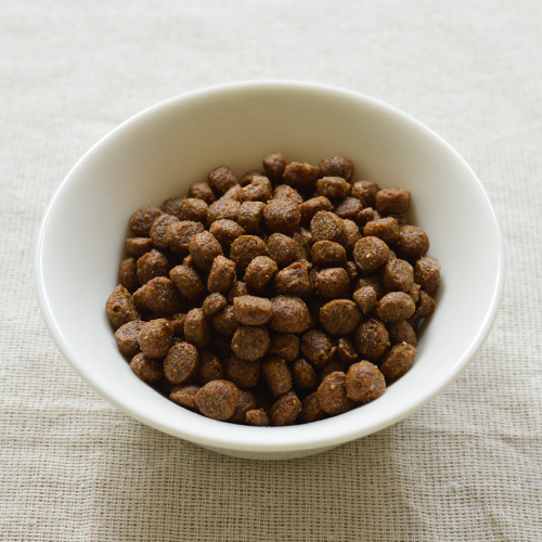 デイリープロ　アダルトミニ　フィッシュ（小粒）