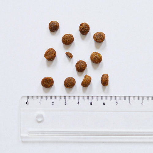 デイリープロ　アダルトミニ　フィッシュ（小粒）