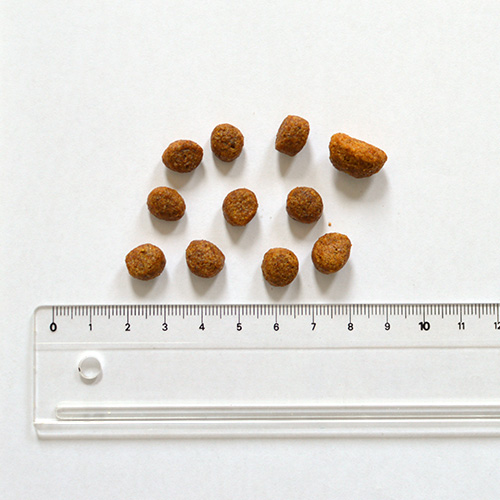 デイリープロ　アダルトミニ　ベニソン（小粒）