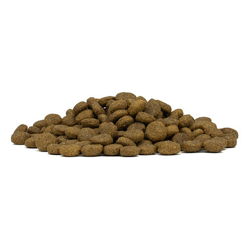 デイリープロ　アダルトミディアム　ホース（中粒）