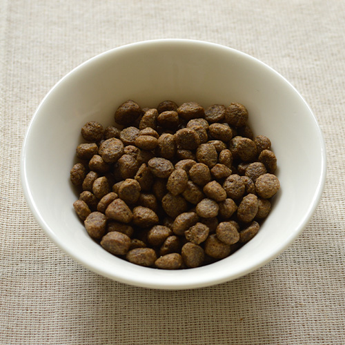 ベルジー VELZY NOSERIDER 9.5 新品 最安v19 Surfboard - SURF A