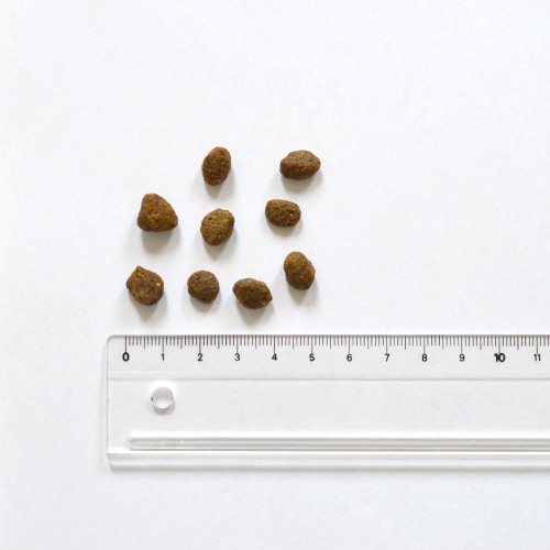 ベルジー　VELZY NOSERIDER 9.5 新品　最安v19 ベルジー VELZY NOSERIDER 9.5 新品 最安v19 Surfboard - SURF A