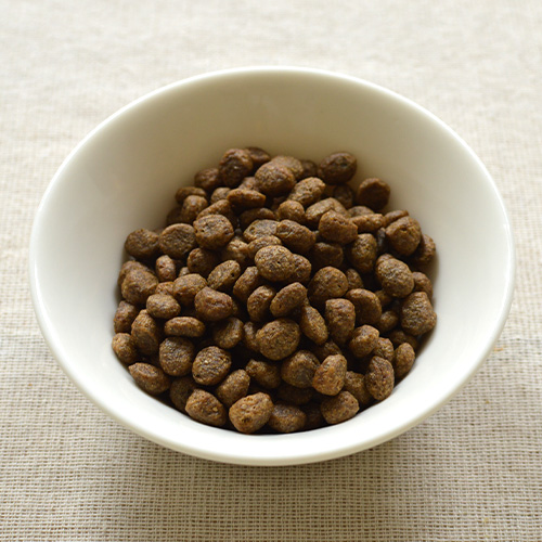 デイリープロ　アダルトミニ　ヘルシーダイジェスチョン フィッシュ（小粒）