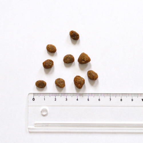 デイリープロ　アダルトミニ　ヘルシーダイジェスチョン フィッシュ（小粒）