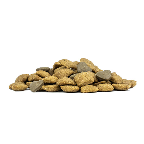 デルモアクティブ　皮膚ケア（中粒）