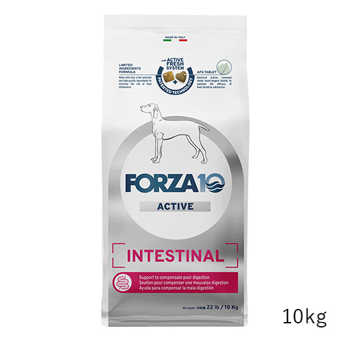 インテスティナルアクティブ　胃腸ケア（中粒）