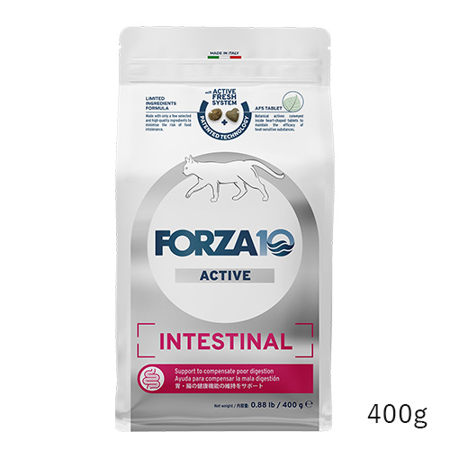 インテスティナルアクティブ　キャット　胃腸ケア