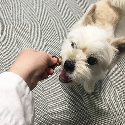 鶏砂肝