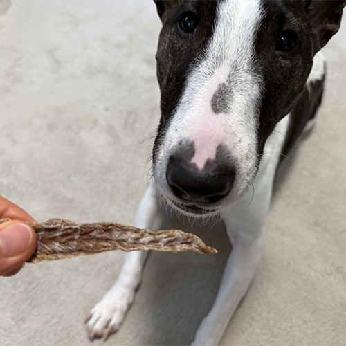 合鴨ジャーキー