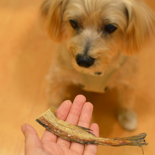 姫たらジャーキー