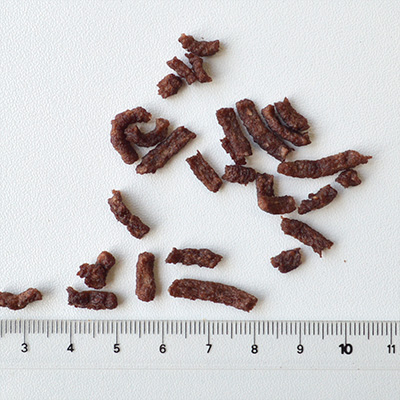 ミニビッツ ホース