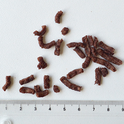 ミニビッツ カンガルー