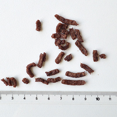 ミニビッツ ベニソン