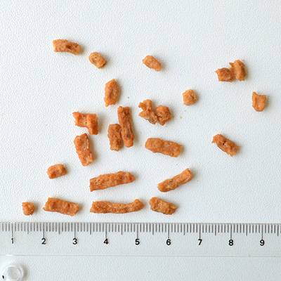 ミニビッツ サーモン