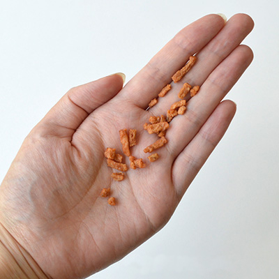 ミニビッツ サーモン